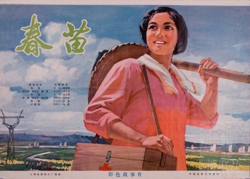 教育部学历证书查询